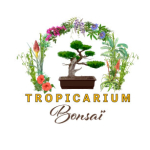 Tropicarium Bonsaï
