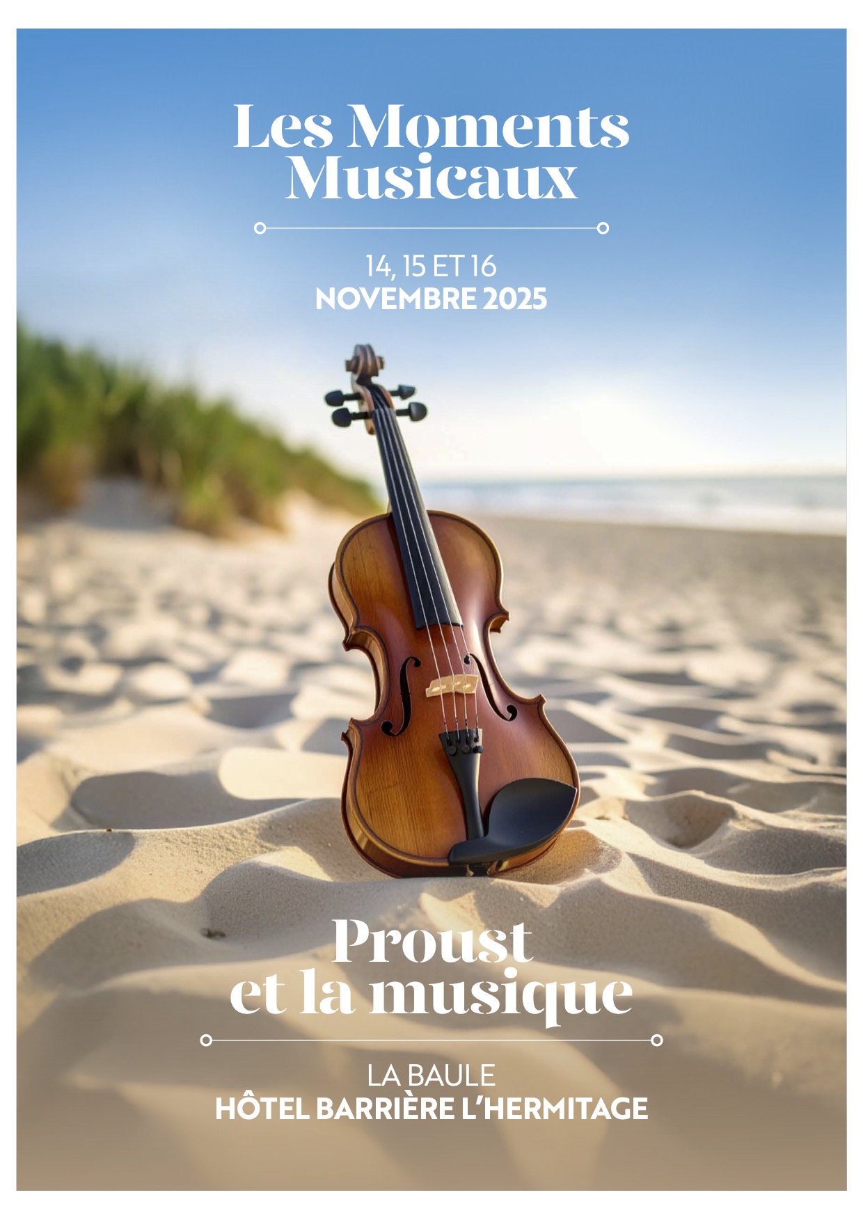 Affiche d'un violons sur une plage avec la mer en fond